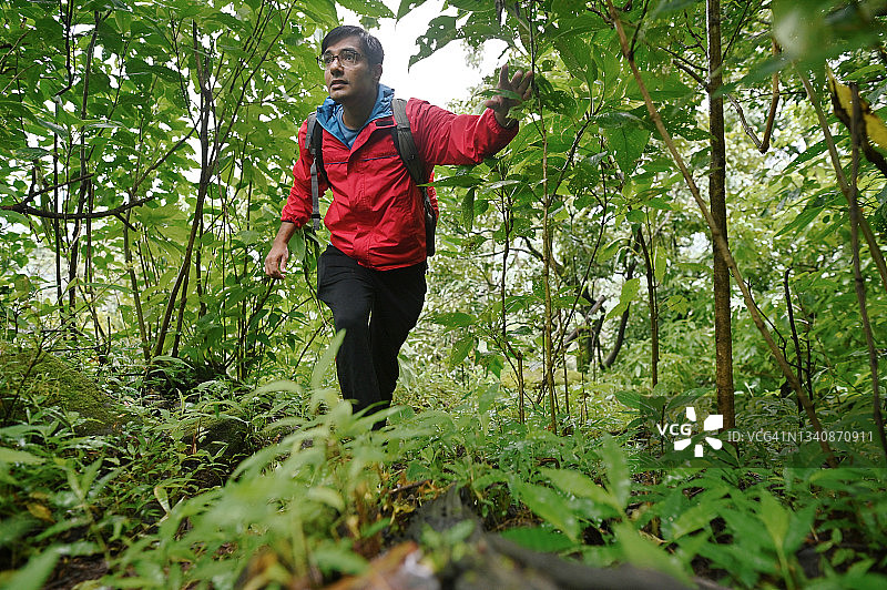 男子在森林里徒步图片素材