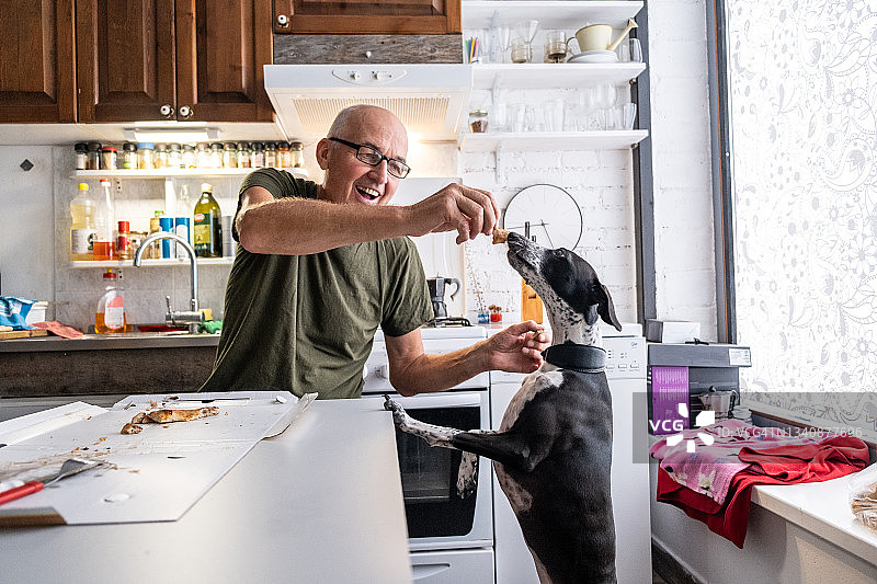 年长的男人在家和狗一起吃披萨图片素材