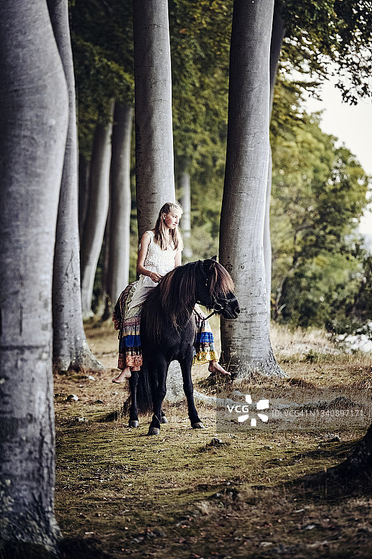林中无鞍骑马图片素材