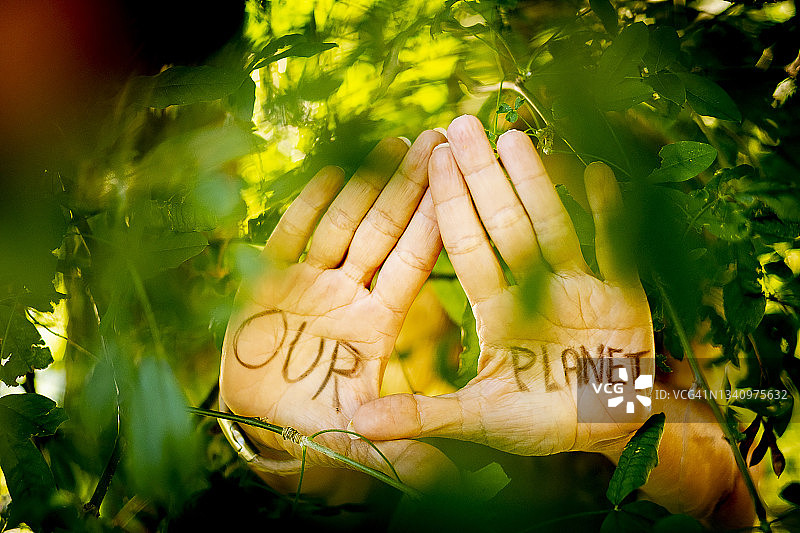 植物丛中女人手掌上的消息图片素材