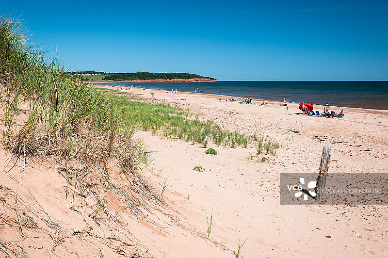 加拿大爱德华王子岛北鲁斯蒂科海滩美景图片素材