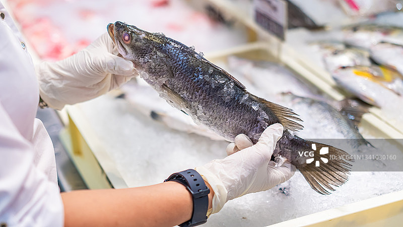 用双手小心呵护鱼的人图片素材