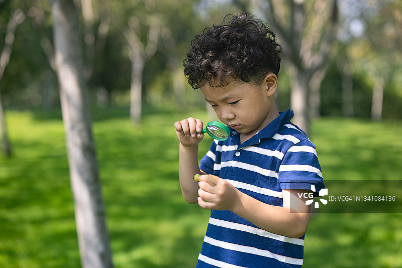 观察自然的小男孩图片素材