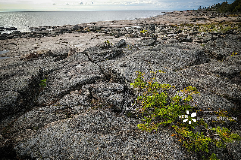 高海岸Rotsidan自然保护区海边的岩层地貌图片素材