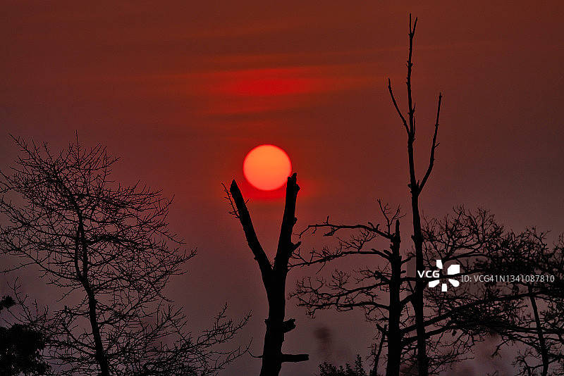 朦胧的日出图片素材
