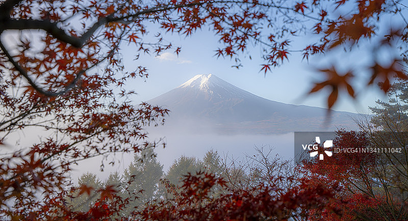 日本山梨县的早晨，枫树和富士山图片素材