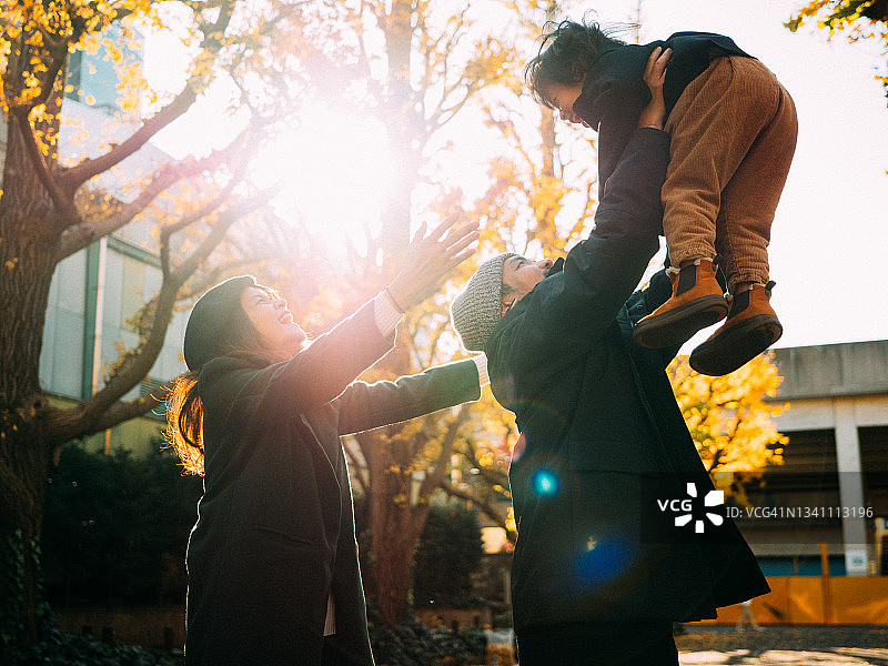 家庭在银杏公园的日落中放松图片素材