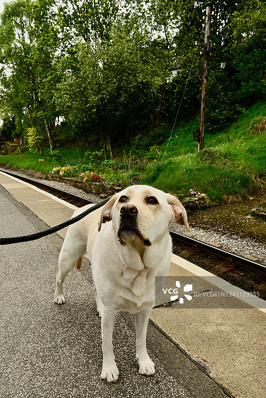 旧式英国火车站图片素材