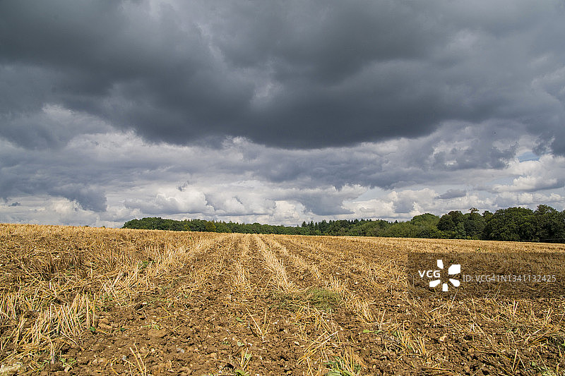 空旷田野上空的乌云图片素材
