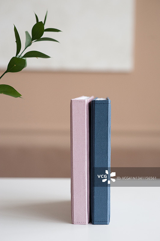 竖版粉色藏蓝色手工布艺相册日记本图片素材