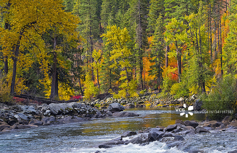 韦纳奇河畔的秋叶图片素材