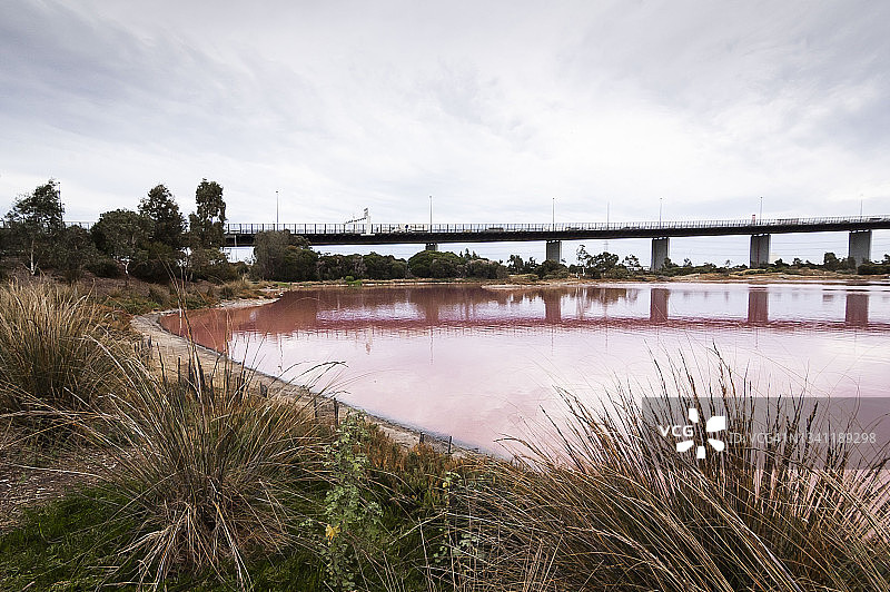 墨尔本西门公园粉色湖面倒影桥梁图片素材
