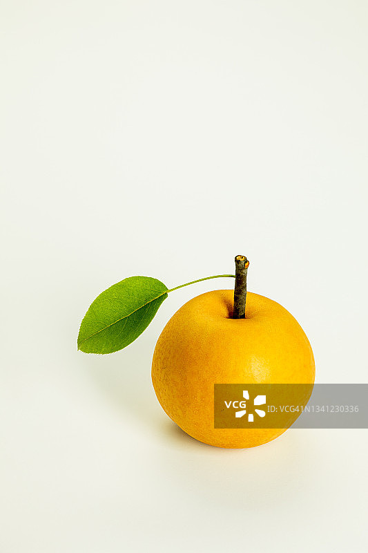 东方梨图片素材