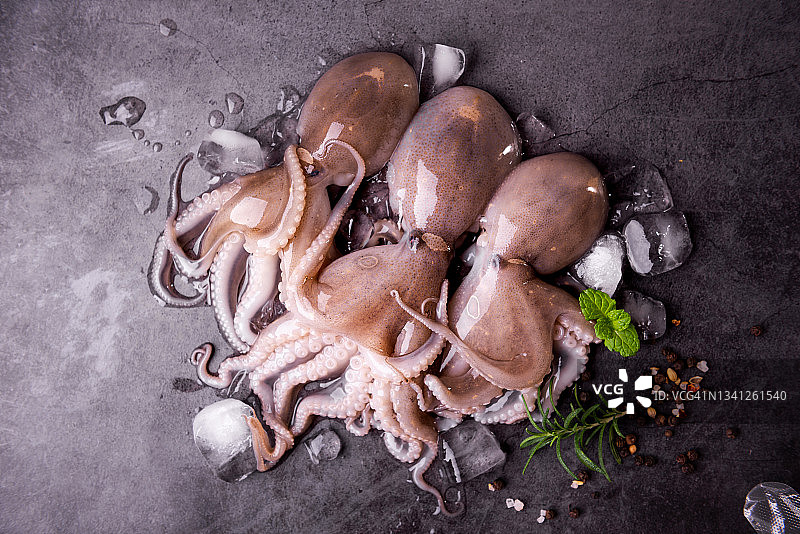 冰上的新鲜章鱼，准备烹饪图片素材