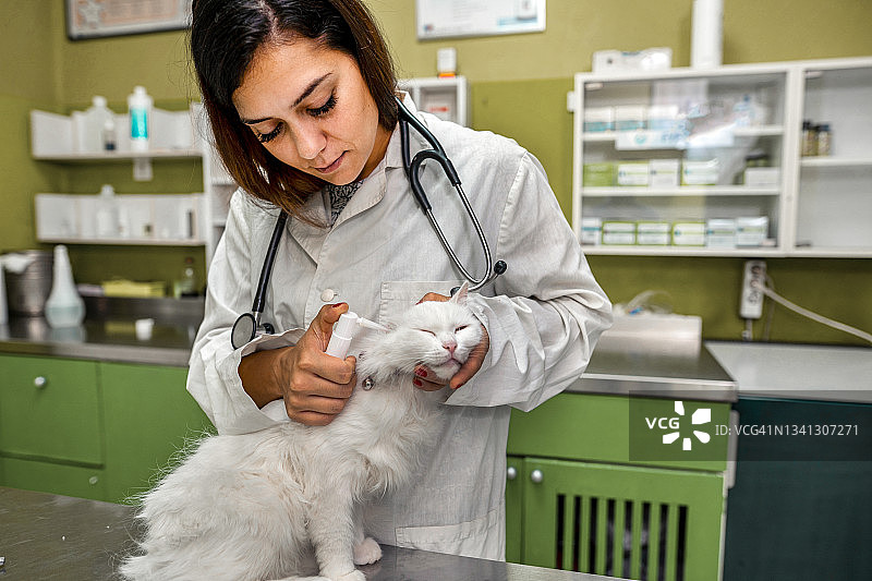 小猫，这样你就能听得更清楚了图片素材