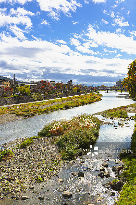 京都市鸭川的秋景图片素材