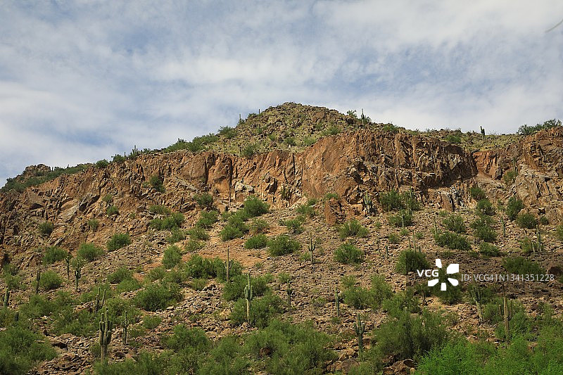 亚利桑那州沙漠的白天光线图片素材