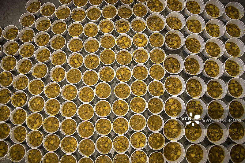 印度餐食图片素材