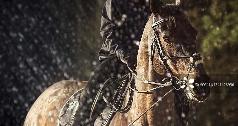 女骑手策马跃过水幕图片素材