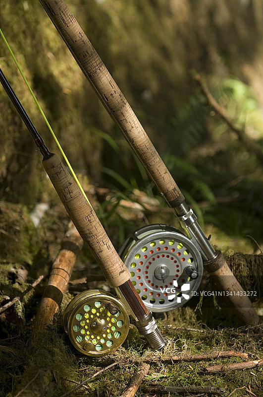 苔藓地上两根飞钓竿特写图片素材