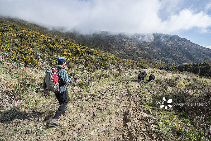 在基督城坎特伯雷赫伯特山步道徒步，新西兰图片素材
