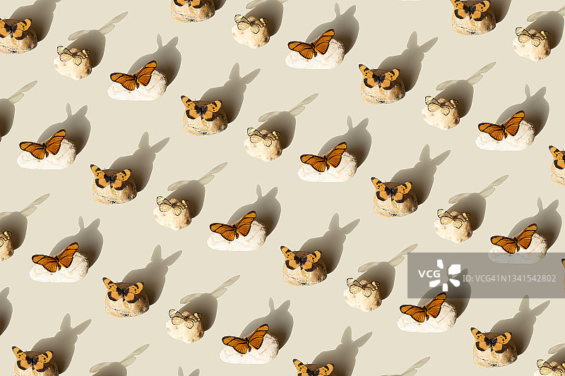 米色背景上停留在石头上的各种雌性阿克雷亚蝴蝶重复图案图片素材