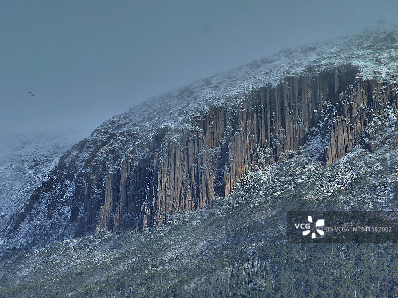 澳大利亚塔斯马尼亚惠灵顿山雪下的管风琴石图片素材