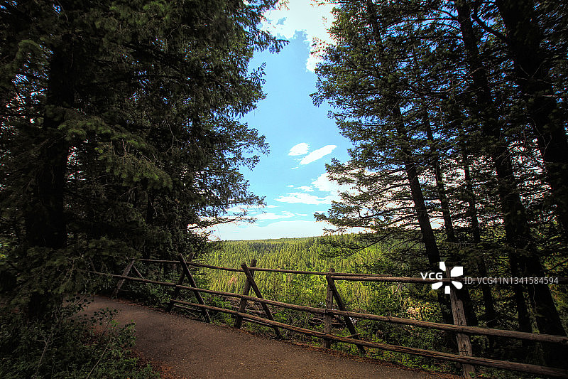 爱达荷州卡里布-塔吉国家森林图片素材