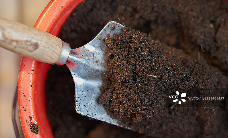 花盆土中的铲子图片素材