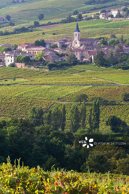 博若莱地区的朱利耶纳村图片素材