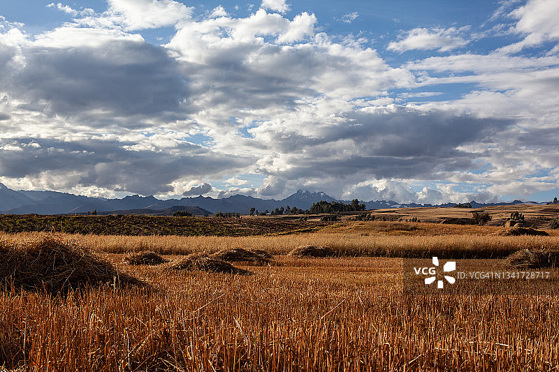 库斯科金色田野图片素材