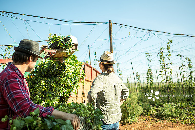 农民在工作中图片素材