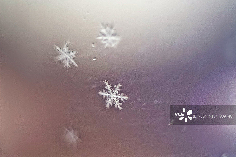 窗户上的微距雪花，背景虚化图片素材