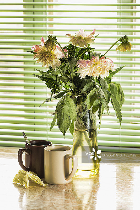 窗边花瓶、餐具与秋季静物图片素材