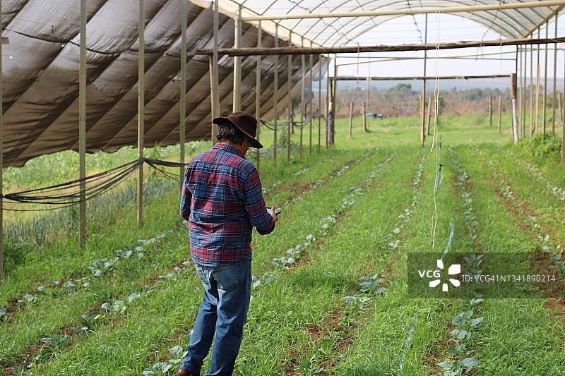 使用科技的乡村男人图片素材