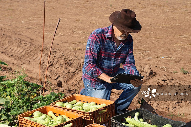 使用科技的乡村男人图片素材