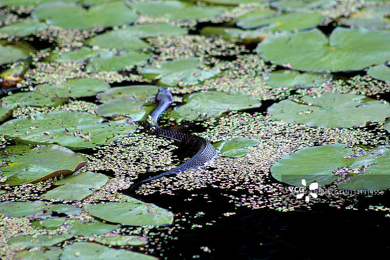 深藏的秘密图片素材
