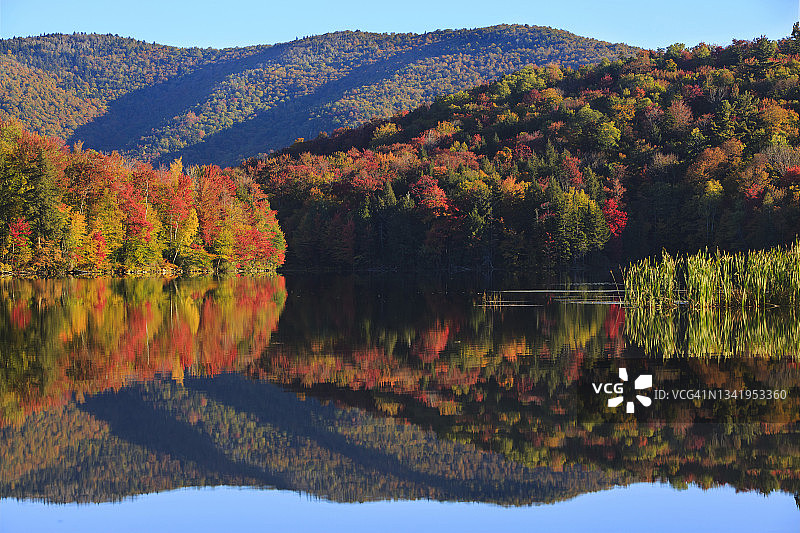 秋季肯特池塘湖泊与森林风光图片素材