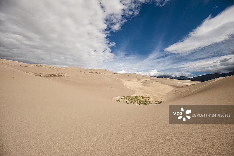 大沙丘国家公园中的一小片草地图片素材