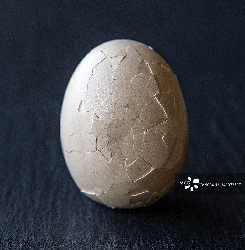 裂开的鸡蛋图片素材