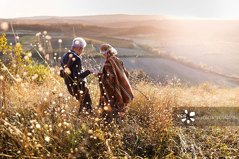 老年夫妇下坡的背影图片素材