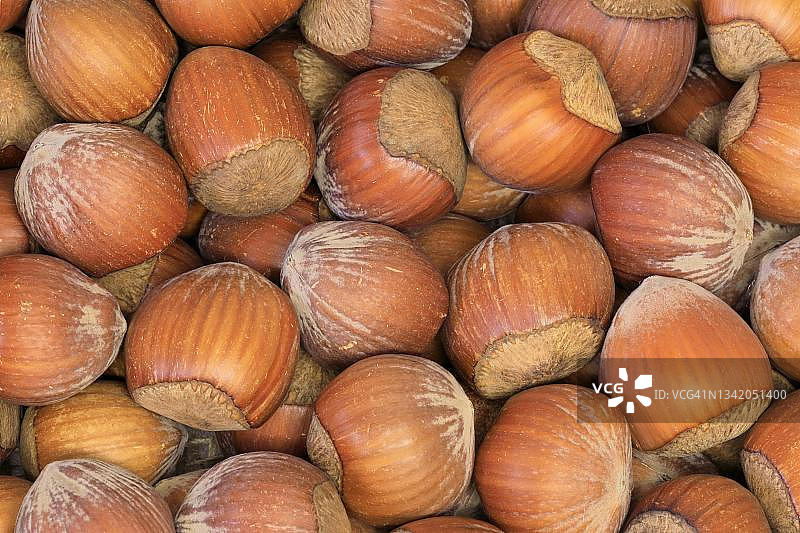 普通榛子（Corylus avellana），果实，带壳和去壳的坚果，德国图片素材