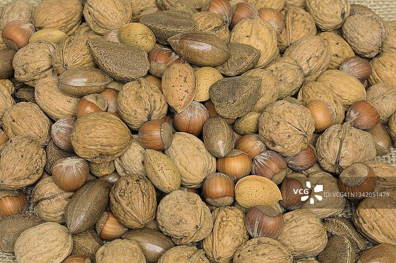 混合坚果:杏树、榛子、波斯核桃、巴西坚果、美洲山核桃、阿月浑子、花生及带壳果实图片素材