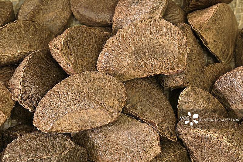 巴西坚果（Bertholletia excelsa），带壳和去壳的坚果，德国图片素材