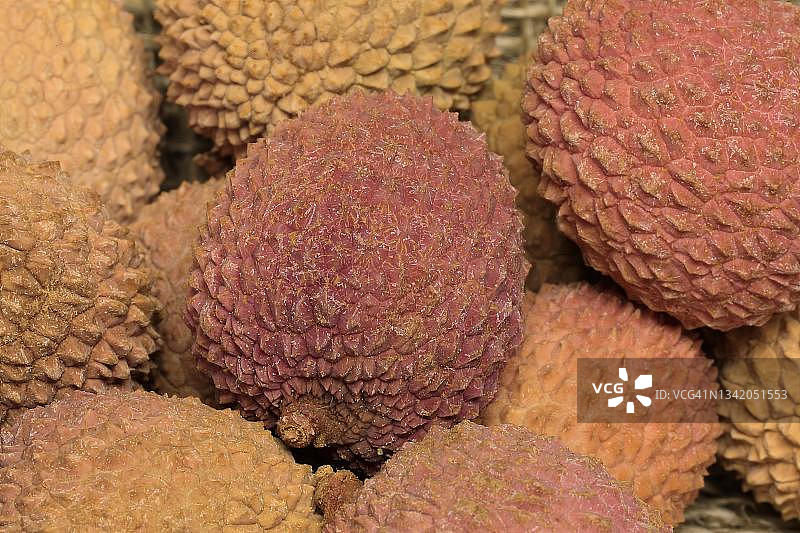 荔枝（Litchi chinensis），埃勒斯塔特，德国图片素材