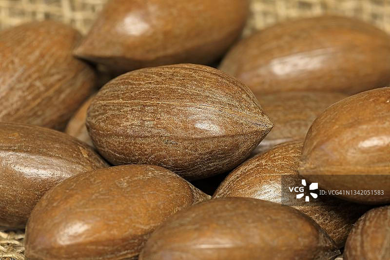 山核桃及其果实，带壳和去壳，德国图片素材