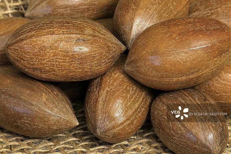 山核桃及其果实，带壳和去壳，德国图片素材