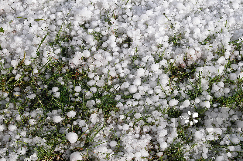 冰雹后花园里的冰雹图片素材