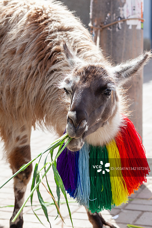 库斯科旅游摄影图片素材