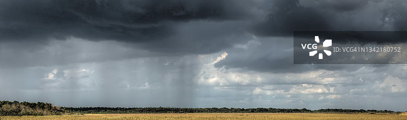 佛罗里达大沼泽地远处的雨全景图片素材